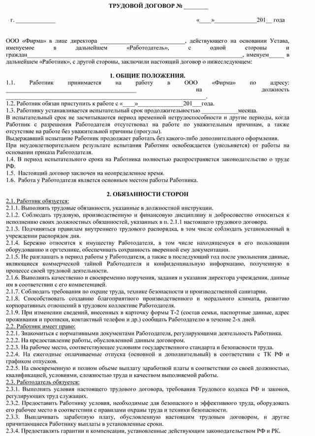 6.-Бланк-трудового-договора-с-испытательным-сроком---стр1