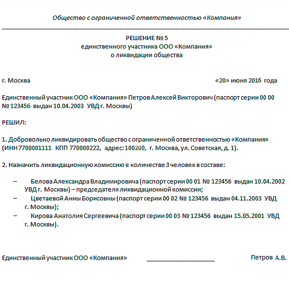 reshenie-o-likvidacii-obrazec